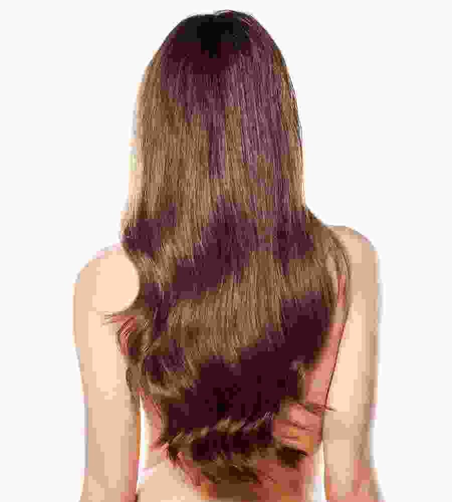 Straight Hair Brown Wig